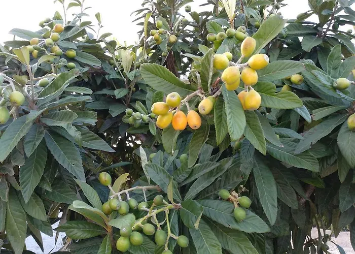 Caledonia Relax Holiday home